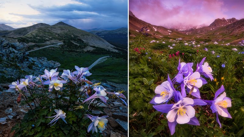 The Breathtaking Natural Beauty of Colorado