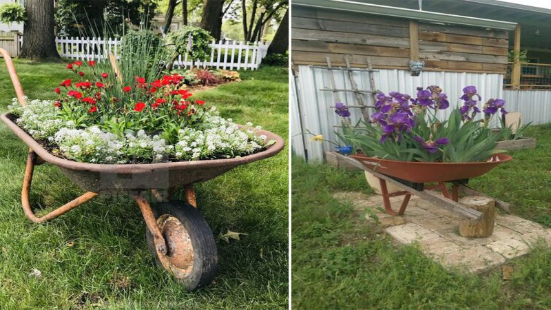 Exquisite Wheelbarrow Planter Ideas to Elevate Your Garden’s Beauty