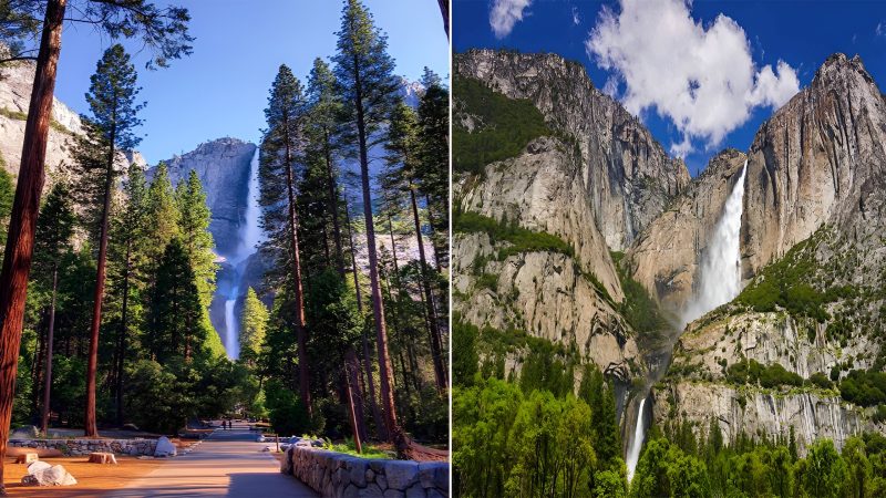 The Beauty of the Forest and Waterfalls in Yosemite National Park, California, USA