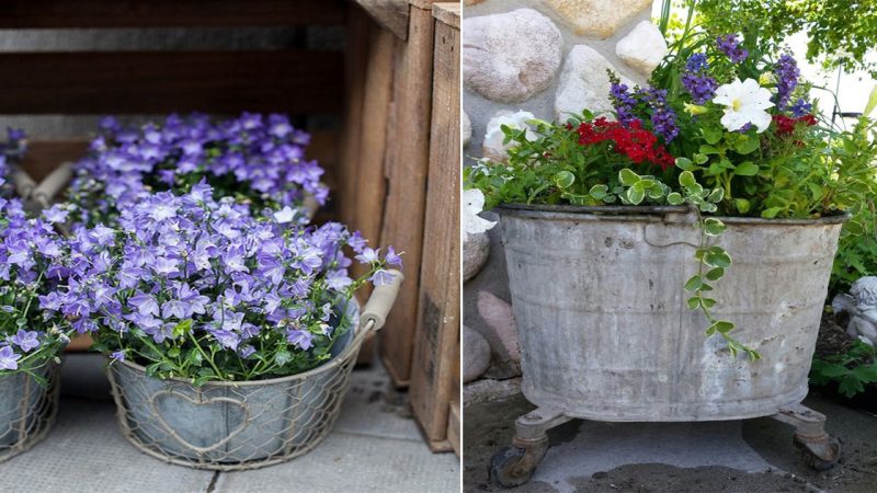 Transform Your Outdoor Space with Tin Bucket and Bathtub Garden Decorations