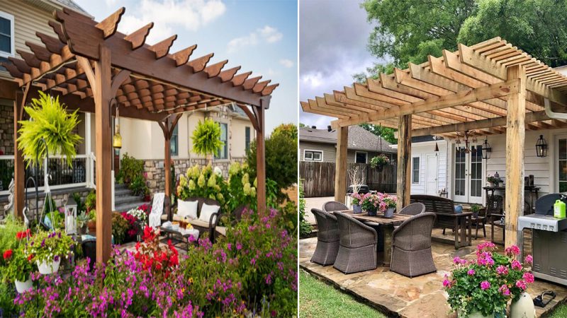 Enhance Your Backyard with an Elegant and Peaceful Pergola