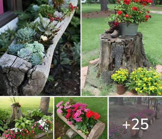 25 Creative Ways to Enhance Your Garden Using Tree Trunks – Trending