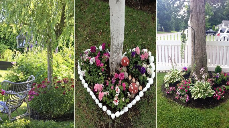 Flower ideas for under trees to add elegance to your yard