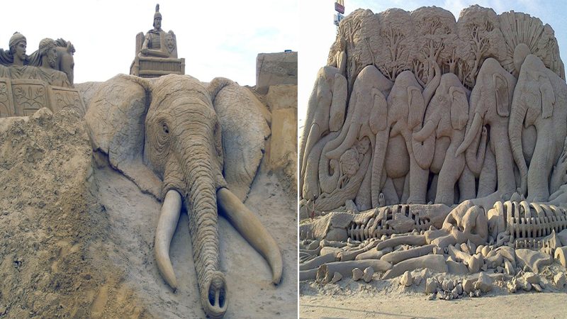 Spectacular Sand Sculptures: A Breathtaking Tribute to the Animal World in Amazing Detail