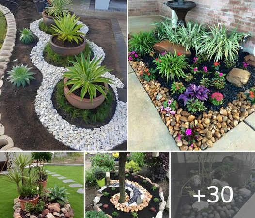 30 Simple Front Yard Landscaping Ideas