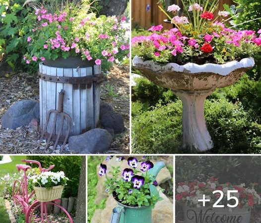 25 Low-budget Garden Container And Pot Ideas