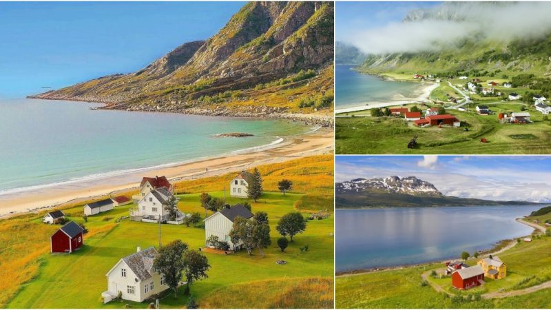 Sørfugløy, Norway: A Hidden Arctic Gem of Natural Beauty and Serenity