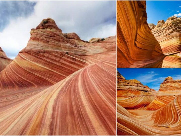 Discover the Mesmerizing Beauty of The Wave: Arizona’s Hidden Sandstone Wonder