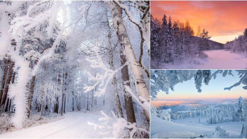 Embracing the Enchantment of Winter in Finland