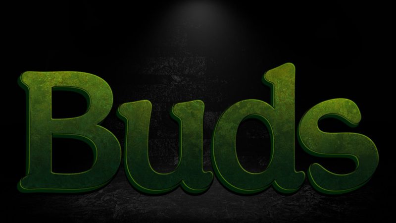 THE TRUTH ABOUT “BUDS (2025)” ON NETFLIX – OFFICIAL CLARIFICATION